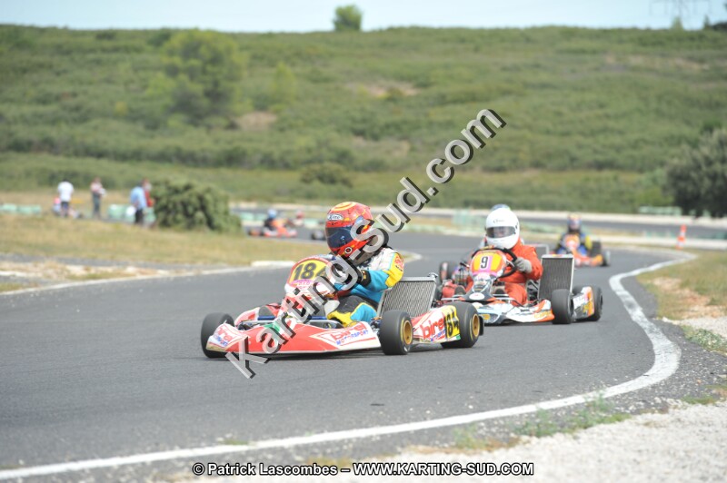 DSC (3514).JPG
